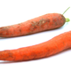 A days-old carrot (left) compared to the carrot “revived” in cold water (right).